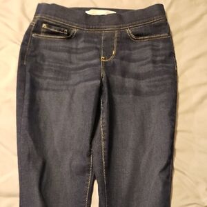 Signature by Levi Strauss Blue Skinny Jeans
